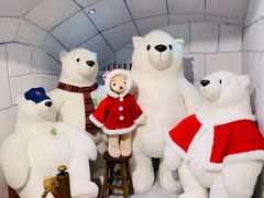 -济州岛泰迪熊博物馆