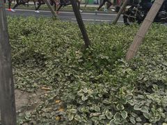 -兴福老面馆(寺路街店)