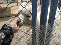 -长白岛森林公园