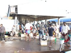 -尼甘布海鲜市场