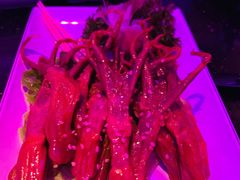 -纯K(打浦桥店)