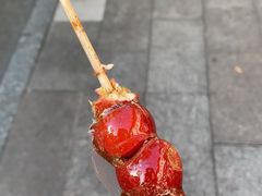-和禄德冰糖葫芦
