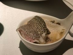 -梧桐