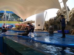 -芜湖新华联大白鲸海洋公园