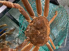 -築鳥日本料理(黑沙环店)