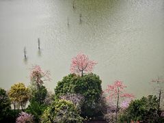 -南宁花花大世界景区