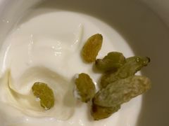 新疆手工老酸奶-楼兰新疆主题餐厅(苏州中心店)