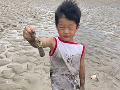 -北岐滩涂