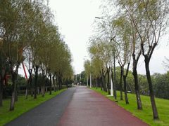 -艾溪湖湿地公园