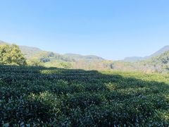 -西湖风景区十里琅珰-五云山