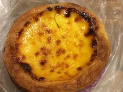 -澳门外港客运码头(轮渡站)