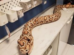 -宜家家居(西安未央商场店)