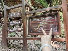 -五女峰国家森林公园