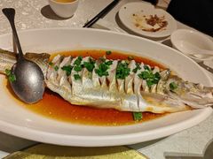 豉油蒸白水鱼-金美华轩(东方路齐鲁店)