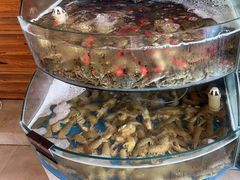 -蓝珊甄选海鲜自助·火锅大排档(近阿那亚店)