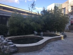 -中家鑫园温泉酒店鑫悦汤泉