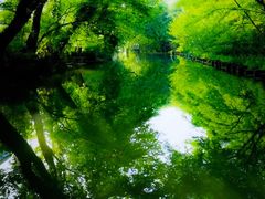 -西溪南古村落景区