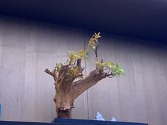 -宴昆山·私房菜(春晖店)