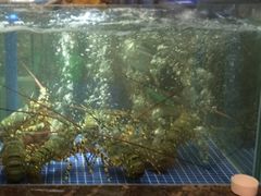 -广东海鲜坊(世纪海伦店)