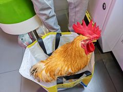 -反斗乐园(金光华广场店)