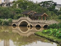 -金山公园