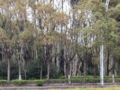 -美兰湖景区