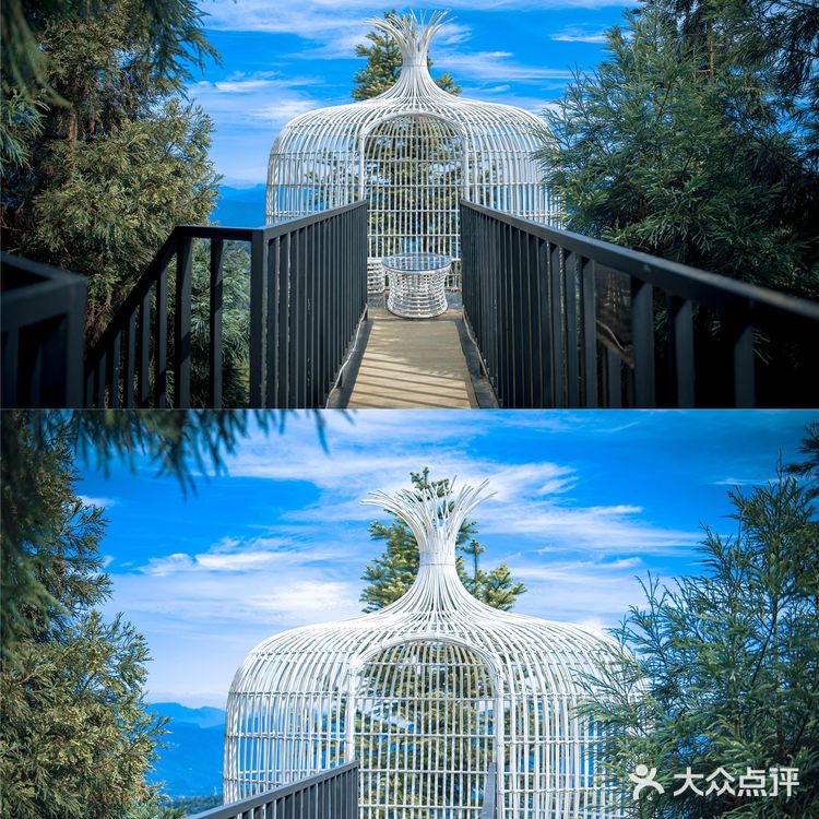 成都周边丨无边泳池360°云海☁️森林悬崖酒店