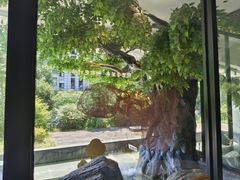 -院里寻菜·精致庭院菜(观沙岭店)