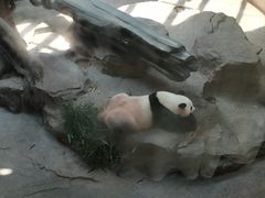 -宁波野生动物园