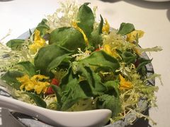 盆栽蔬菜沙拉-春暖花开(西溪店)