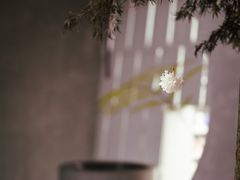 -二酉书店TOYOU BOOKS