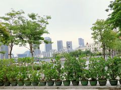 -BIGHEAD大头家咖啡馆(蛇口店)
