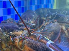 -映像威海·威海宴(威高广场店)