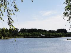 -东郊湿地公园