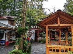 -青城甲(青城山店)