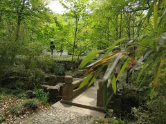 -潘玉麟糖粥