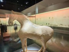 -衢州市博物馆