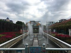 -百万葵园