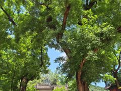 -红螺寺