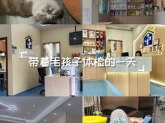 -泰洋动物医院·神经专科·磁共振·CT(天河公园总院)
