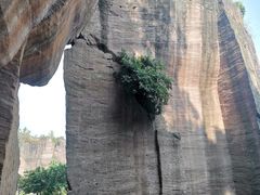 -广州莲花山旅游区