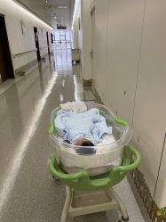 -南京市妇幼保健院(莫愁路院区)
