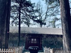 -潭柘寺景区