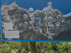 -广东惠东海龟国家级自然保护区