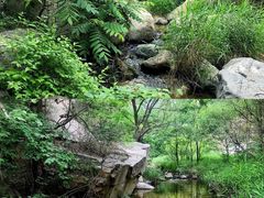 -碓臼峪自然风景区