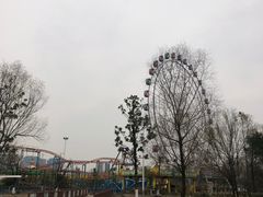 -洋湖国家湿地公园
