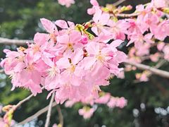 -乌山风景区