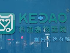 -科道动物医院·急重症中心(万达院)