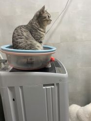 -哈妮儿童摄影(德清店)