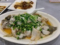香葱淋鲈鱼-粤·向群饭店(龙津东路总店)